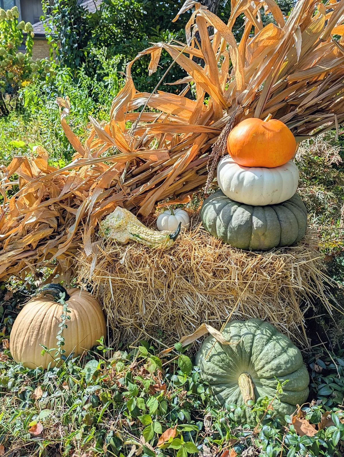 Mixed flower centerpiece