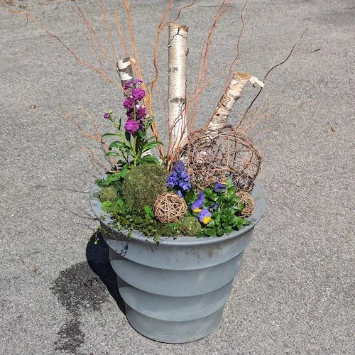 Lush planter with ornamental grasses
