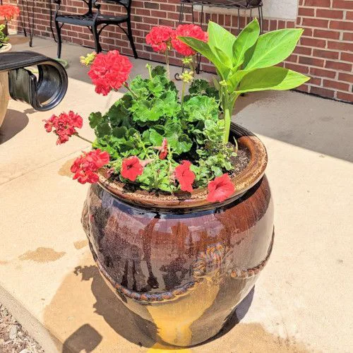 Warm-toned seasonal planter